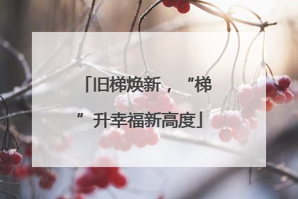 旧梯焕新，“梯”升幸福新高度