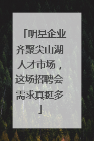 明星企业齐聚尖山湖人才市场，这场招聘会需求真挺多