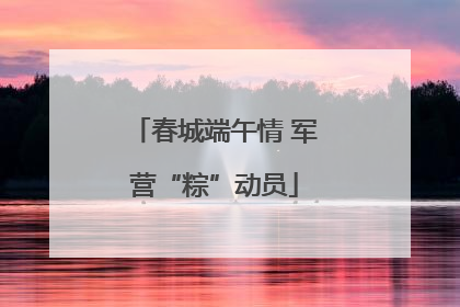 春城端午情 军营“粽”动员