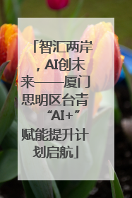 智汇两岸，AI创未来——厦门思明区台青“AI+”赋能提升计划启航