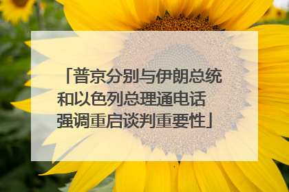 普京分别与伊朗总统和以色列总理通电话 强调重启谈判重要性