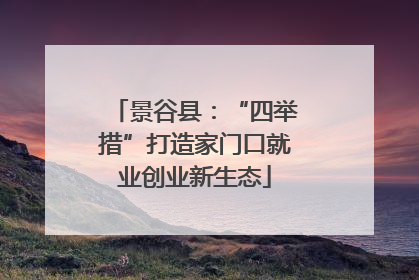 景谷县：“四举措”打造家门口就业创业新生态
