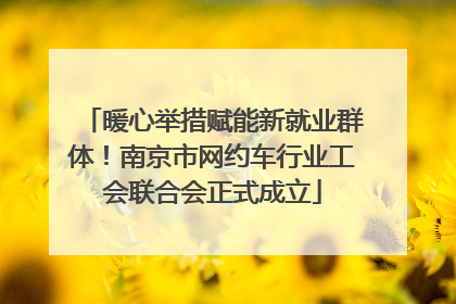 暖心举措赋能新就业群体！南京市网约车行业工会联合会正式成立