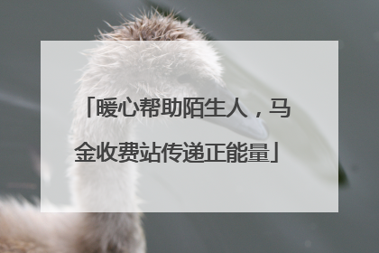 暖心帮助陌生人，马金收费站传递正能量