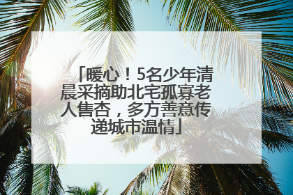 暖心！5名少年清晨采摘助北宅孤寡老人售杏，多方善意传递城市温情