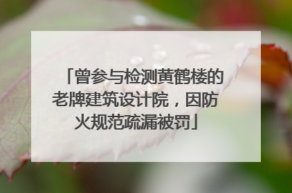 曾参与检测黄鹤楼的老牌建筑设计院，因防火规范疏漏被罚