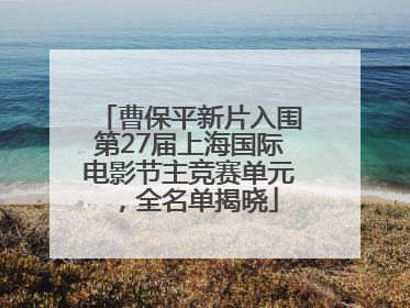 曹保平新片入围第27届上海国际电影节主竞赛单元，全名单揭晓
