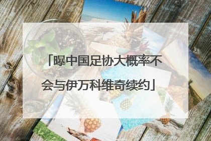 曝中国足协大概率不会与伊万科维奇续约