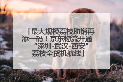 最大规模荔枝助销再添一码！京东物流开通“深圳-武汉-西安” 荔枝全货机航线