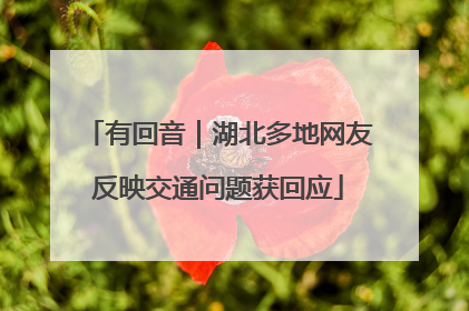 有回音｜湖北多地网友反映交通问题获回应