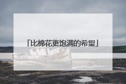 比棉花更饱满的希望