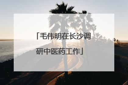 毛伟明在长沙调研中医药工作