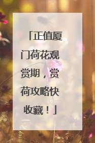 正值厦门荷花观赏期，赏荷攻略快收藏！
