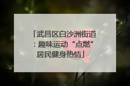 武昌区白沙洲街道：趣味运动“点燃”居民健身热情
