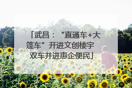 武昌：“直通车+大篷车”开进文创楼宇 双车并进惠企便民