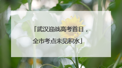 武汉迎战高考首日，全市考点未见积水