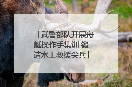 武警部队开展舟艇操作手集训 锻造水上救援尖兵