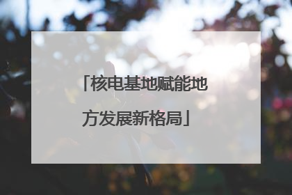 核电基地赋能地方发展新格局