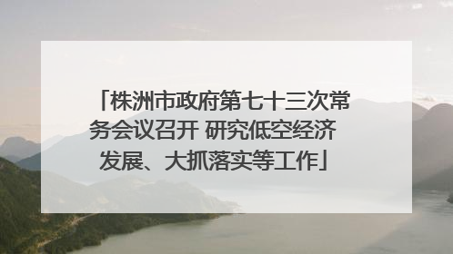 株洲市政府第七十三次常务会议召开 研究低空经济发展、大抓落实等工作