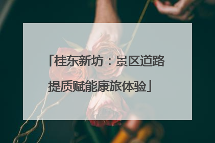 桂东新坊：景区道路提质赋能康旅体验