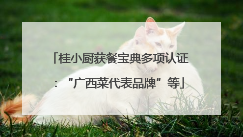 桂小厨获餐宝典多项认证：“广西菜代表品牌”等