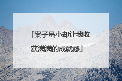 案子虽小却让我收获满满的成就感