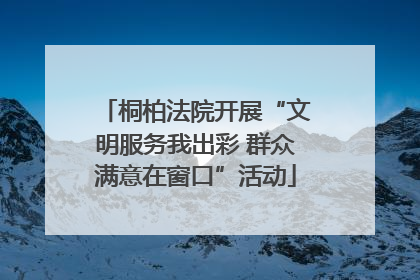 桐柏法院开展“文明服务我出彩 群众满意在窗口”活动
