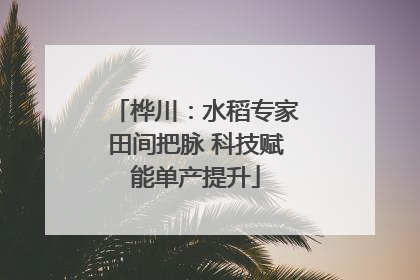 桦川：水稻专家田间把脉 科技赋能单产提升