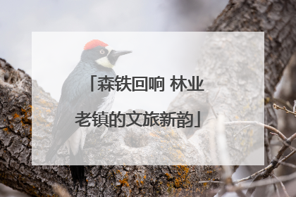 森铁回响 林业老镇的文旅新韵