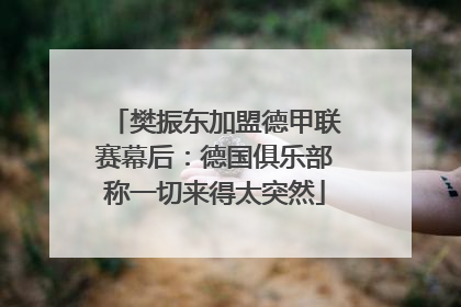 樊振东加盟德甲联赛幕后：德国俱乐部称一切来得太突然