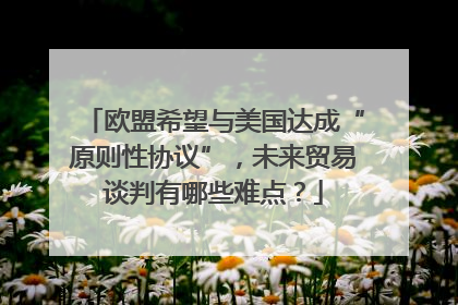 欧盟希望与美国达成“原则性协议”，未来贸易谈判有哪些难点？