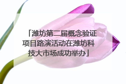 潍坊第二届概念验证项目路演活动在潍坊科技大市场成功举办