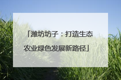 潍坊坊子：打造生态农业绿色发展新路径