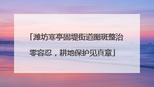潍坊寒亭固堤街道图斑整治零容忍，耕地保护见真章