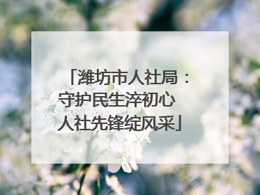 潍坊市人社局：守护民生淬初心 人社先锋绽风采