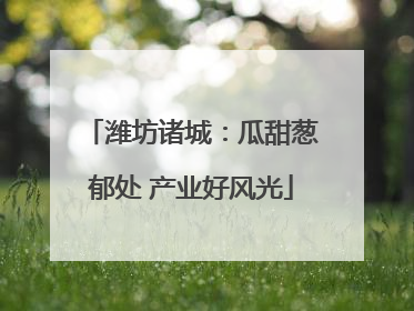 潍坊诸城：瓜甜葱郁处 产业好风光