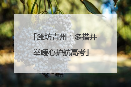 潍坊青州：多措并举暖心护航高考