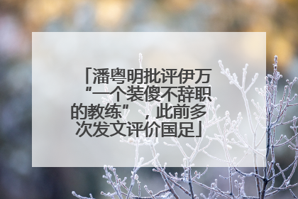 潘粤明批评伊万“一个装傻不辞职的教练”，此前多次发文评价国足