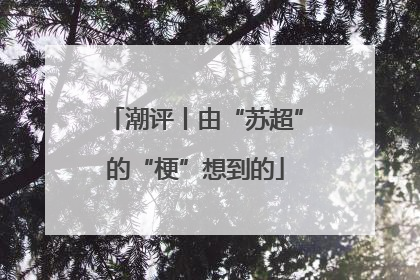 潮评丨由“苏超”的“梗”想到的