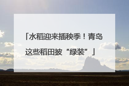 水稻迎来插秧季！青岛这些稻田披“绿装”