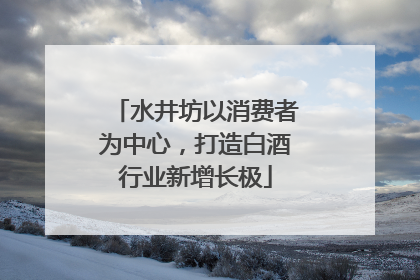 水井坊以消费者为中心，打造白酒行业新增长极