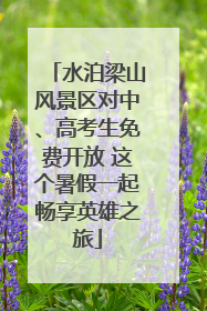 水泊梁山风景区对中、高考生免费开放 这个暑假一起畅享英雄之旅