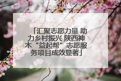 汇聚志愿力量 助力乡村振兴 陕西神木“益起帮”志愿服务项目成效显著