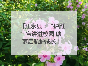 江永县：“护雁”宣讲进校园 助梦启航护成长