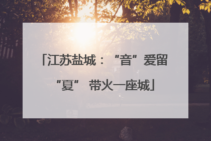 江苏盐城：“音”爱留“夏” 带火一座城