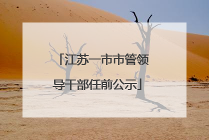 江苏一市市管领导干部任前公示