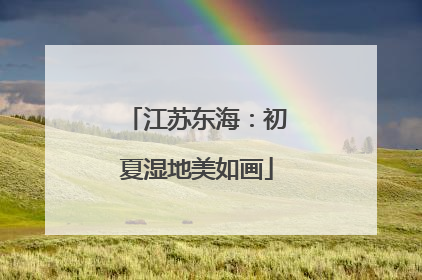 江苏东海：初夏湿地美如画