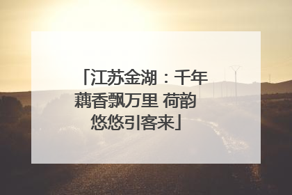 江苏金湖：千年藕香飘万里 荷韵悠悠引客来