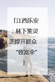 江西乐安：林下紫灵芝撑开群众“致富伞”