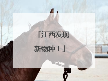 江西发现新物种！